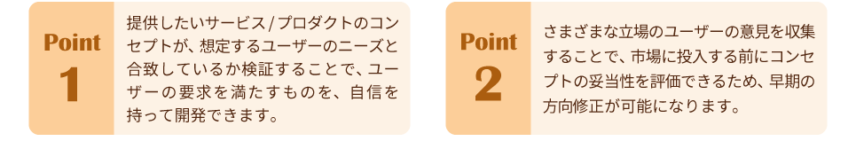 システムの受容性評価支援によるポイント
