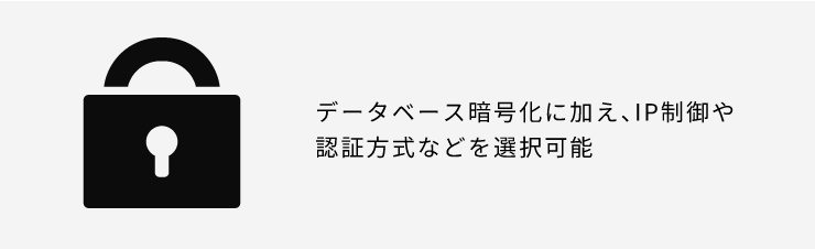 データベース暗号化に加え、IP制御や認証方式などを選択可能